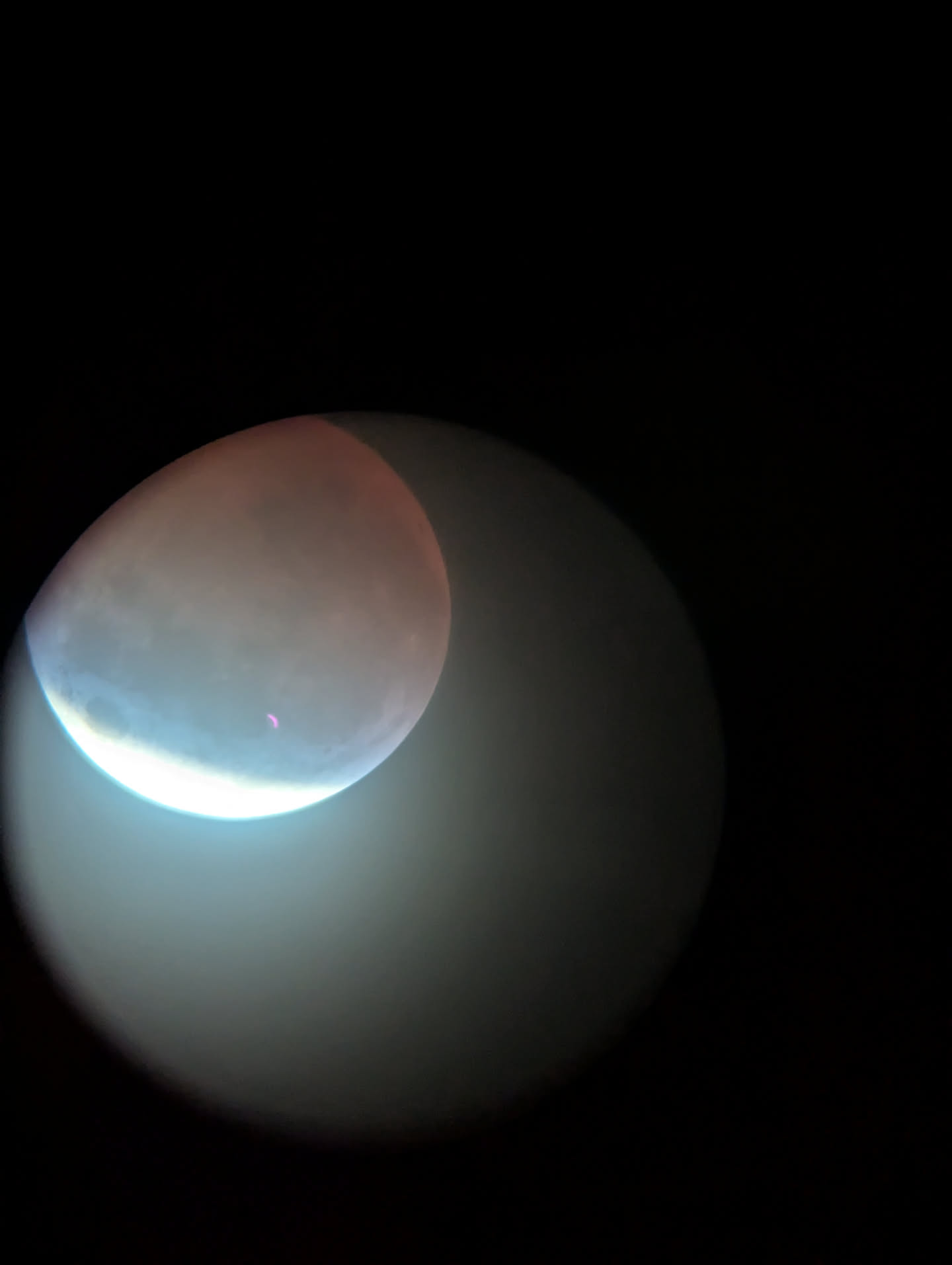 Lunar eclipse in the field